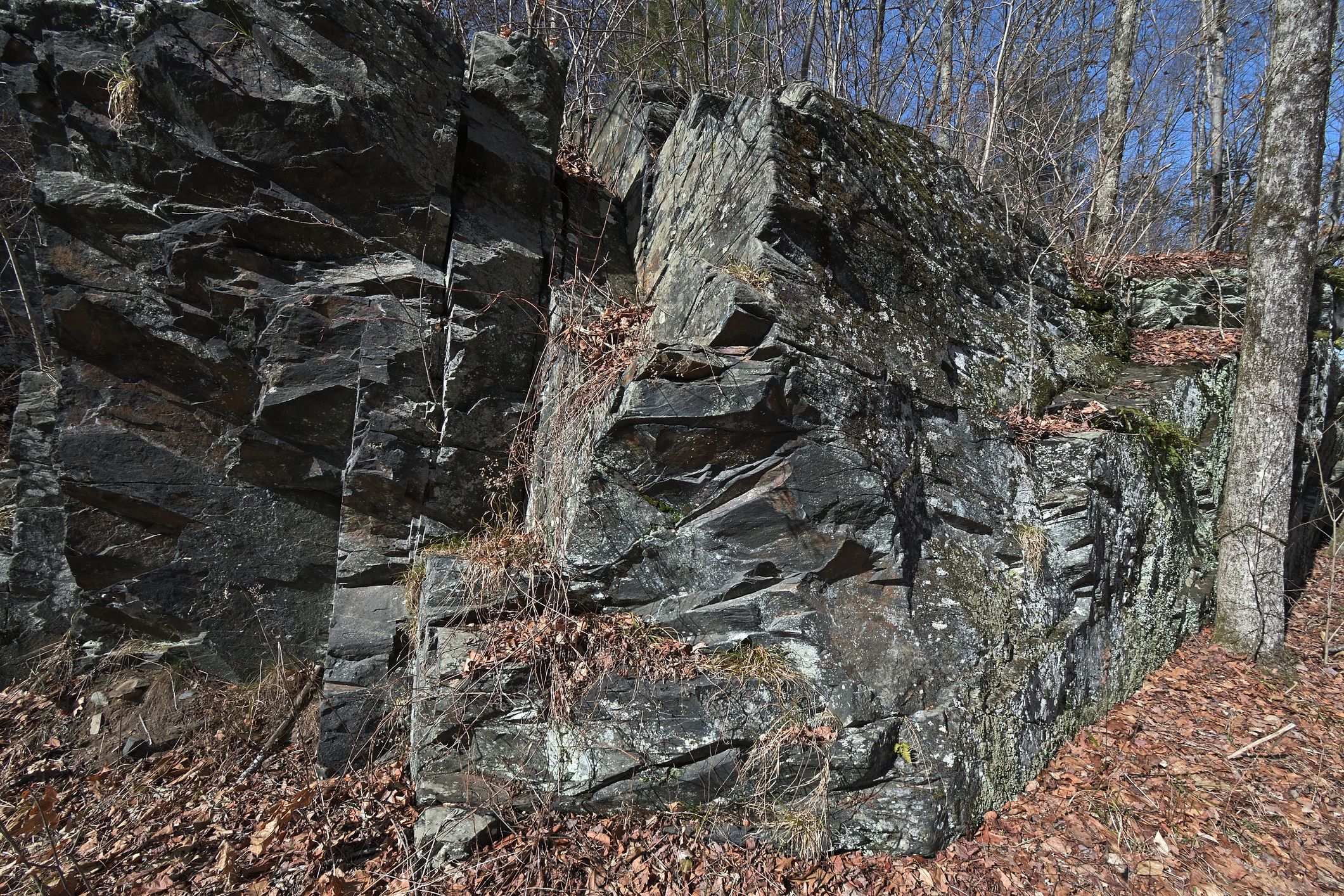 Schist rock outcrop representing structural geology field analysis