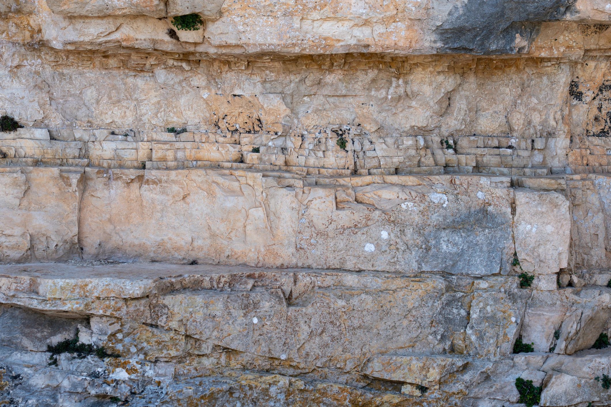 Layered rock outcrop showing structural geology features